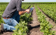 L'OCP et le CAM s'allient pour un meilleur accès des agriculteurs aux solutions mobiles de financement