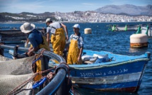 Pêche: Un début d'année marqué par la hausse de la valeur des produits