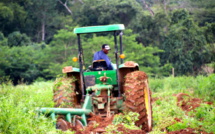 Perspectives du secteur agricole sur le continent: La digitalisation technologique, facteur de productivité