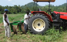 Perspectives du secteur agricole sur le continent :  La digitalisation technologique, facteur de productivité