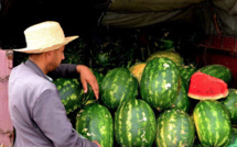 Consommation: Pourquoi la pastèque marocaine ne tourne plus rond ?