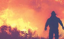 Fès-Meknès : Des feux de forêts ravagent le patrimoine forestier