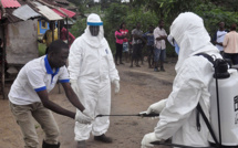 Virus de Marburg : Premier cas détecté en Guinée	