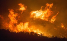 Algérie : Des dizaines de morts dans des incendies de forêts