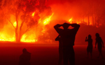 Incendies de forêts : Le pourtour méditerranéen proie des flammes