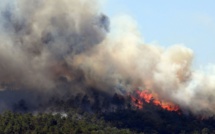 France : Un violent incendie en Côte d’Azur