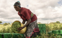 Nouveau rapport de la CNUCED sur la ZLECAf : Faire de la biodiversité le moteur du commerce durable