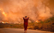 Feux de forêts : baisse de 47% de la surface forestière incendiée en 2021