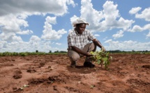 ONU : Le réchauffement climatique menace la survie de millions d'Africains