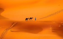 Sahara : les EAU rejettent « toute atteinte » à l'intégrité territoriale du Maroc