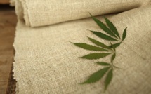 Légalisation du cannabis : opportunité indéniable pour l'industrie textile marocaine