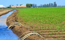 Mohamed Sadiki donne les clés pour une agriculture marocaine à triple performance