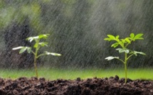 Les précipitations reviennent, des chutes de neige et de fortes pluies ce dimanche au Maroc