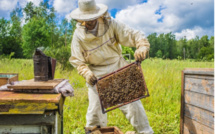 Apiculture : Vers le lancement d’une opération d’identification des ruches d’abeilles (M. Baitas)