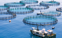 Aquaculture : le Maroc et l'UE lancent un nouveau projet de jumelage