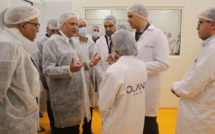 Agroalimentaire : Oland Group inaugure 4 nouvelles lignes de production de fromage fondu