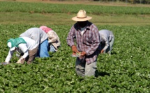 Couverture médicale au profit des agriculteurs : 4 conventions de partenariat signées