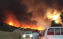 Canicule : les incendies font rage dans les provinces du nord (vidéo)