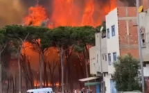 Larache : l’incendie a déjà ravagé 900 hectares de massifs forestiers