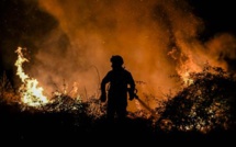 Tétouan :  les incendies de Bni Idder maîtrisés, 500 hectares ravagés 