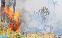 Feu de forêt : Mise en place de cellules de suivi et d’évaluation