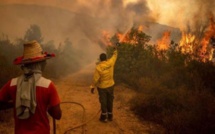 Feu de forêt : Une personne trouve la mort à Taounate 