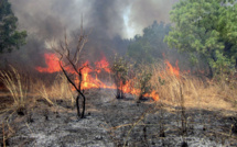 Forêt de “Bouhachem Jbel El Alam”: Intensification des efforts pour circonscrire l’incendie