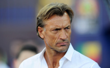 Hervé Renard nommé sélectionneur de l'équipe de France féminine