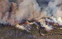 Feux de forêt : Le Canada brûle, les Etats-Unis suffoquent