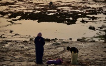 Récolte de l'Or Rouge : Ces femmes qui transforment la mer en source de vie