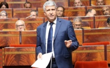 Parlement : Sadiki liste les mesures de soutien au secteur agricole