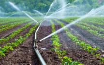 Agriculture consomme moins d'un milliard de mètre cubes d'eau, selon Mohammed Sadiki