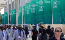 COP28 : Faute de de financement, les collectivités territoriales en difficulté face au changement climatique