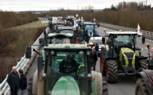 Les agriculteurs espagnols se joignent au mouvement de protestation en Europe