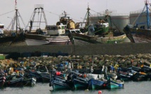 Port de Tan-Tan : Baisse de 29% des débarquements de la pêche côtière et artisanale en 2023