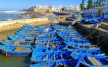 Port d’Essaouira : Les débarquements de la pêche côtière et artisanale en forte hausse en janvier