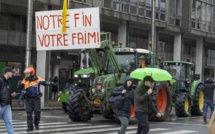 Crise des agriculteurs : Les tracteurs envahissent Bruxelles et Madrid