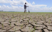 Stress hydrique: Appel à l'amélioration de l'accès aux financements climatiques