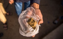 Culture licite du cannabis : La Beldia marocaine entame sa Reconquista