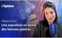 Chaoui bois : Une exposition en faveur des femmes peintres