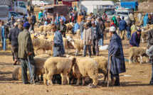 Le gouvernement subventionne l'importation des ovins en prévision de l'Aïd Al-Adha