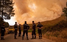 Incendies de forêts: Voici les zones à haut risque selon l’Agence des eaux et forêts