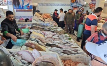 Pêche: Plus de 6500 tonnes de poissons enregistrées à El Jadida jusqu'à fin Juin 2024