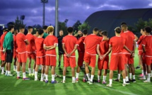 Equipe nationale A : Les Lions en préparation pour affronter les Panthères et les Crocodiles !