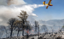 Incendies de forêts : Le secret d’une baisse inédite des zones sinistrées