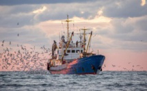 Accord de pêche Maroc-UE : Les dessous juridico-politiques d’un arrêt infondé ! [INTÉGRAL]