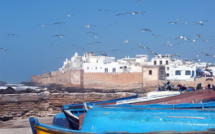 Port d’Essaouira : Hausse de 49% des débarquements de pêche à fin septembre