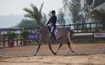 Dressage / Championnat du Maroc (chevaux de 7 ans): La cavalière Aurelia Marko sacrée