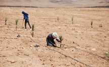 ​COP16: Le Maroc partagera à Riyad son expertise en matière de lutte contre la désertification