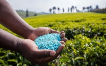 Principaux développements sur le marché mondial du phosphate